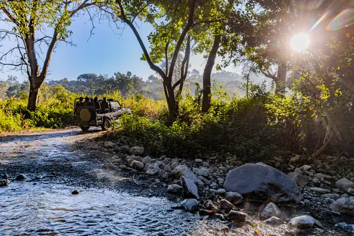 Jungle safari in Jim Corbett National Park